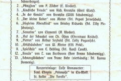 1929 Programm 12.6.1929 Ellersdorfer